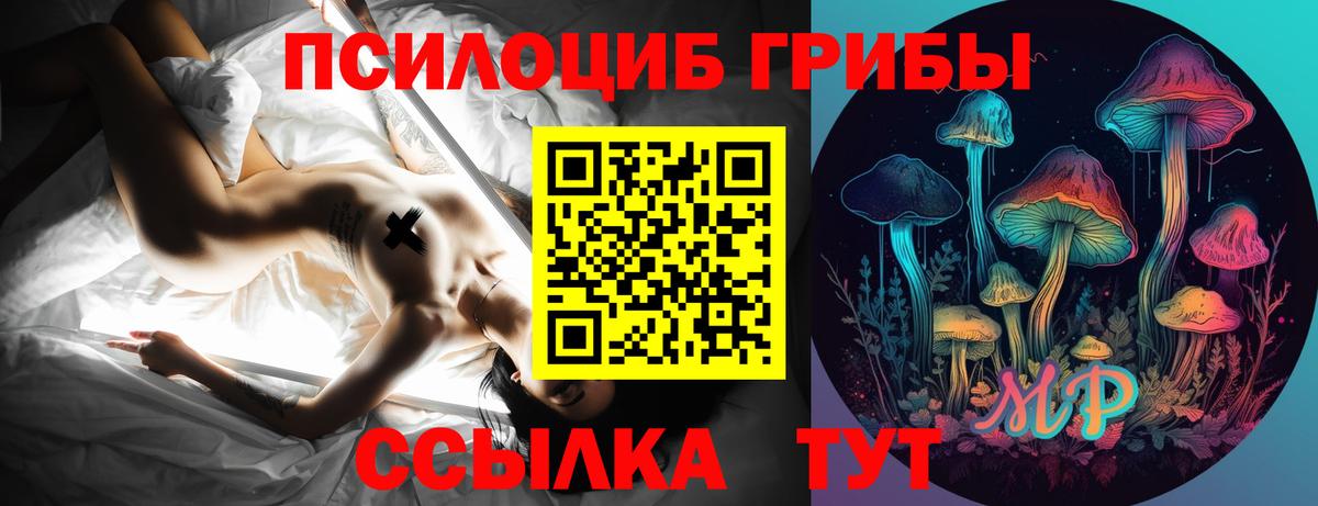 Псилоцибиновые грибы GOLDEN TEACHER  Вход с VPN  Муром 
